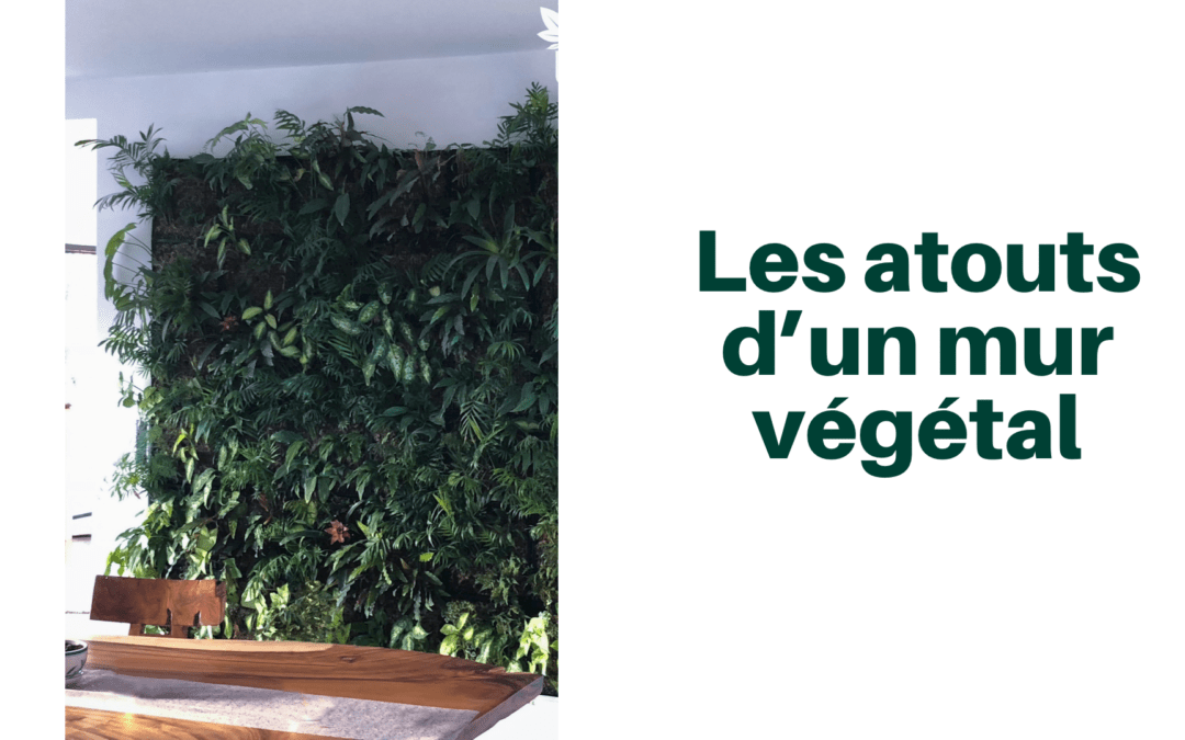 Les 15 atouts d’un mur végétal