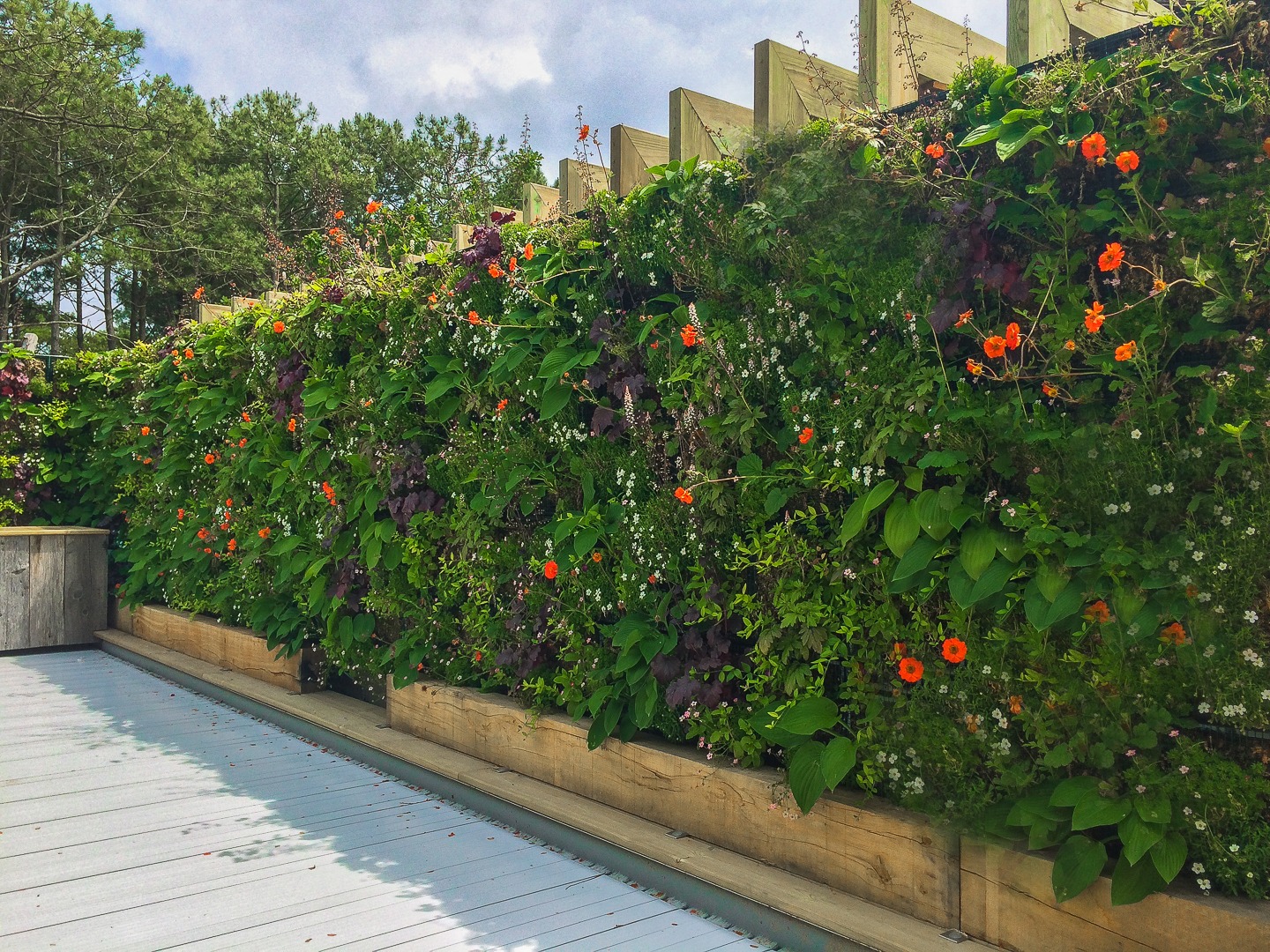 mur végétal avec fleurs au bord d'une piscine