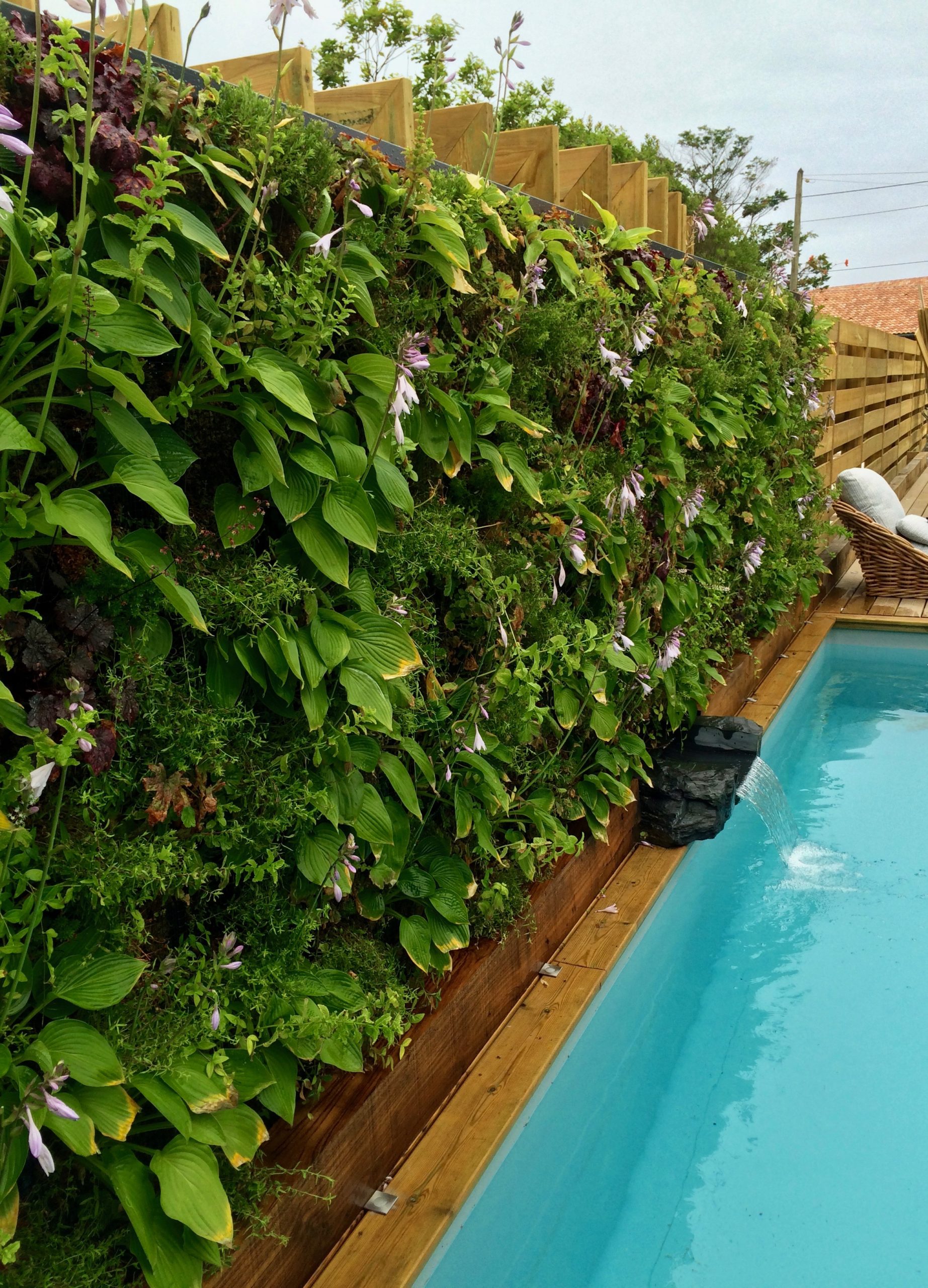 mur végétal piscine avec lame d'eau