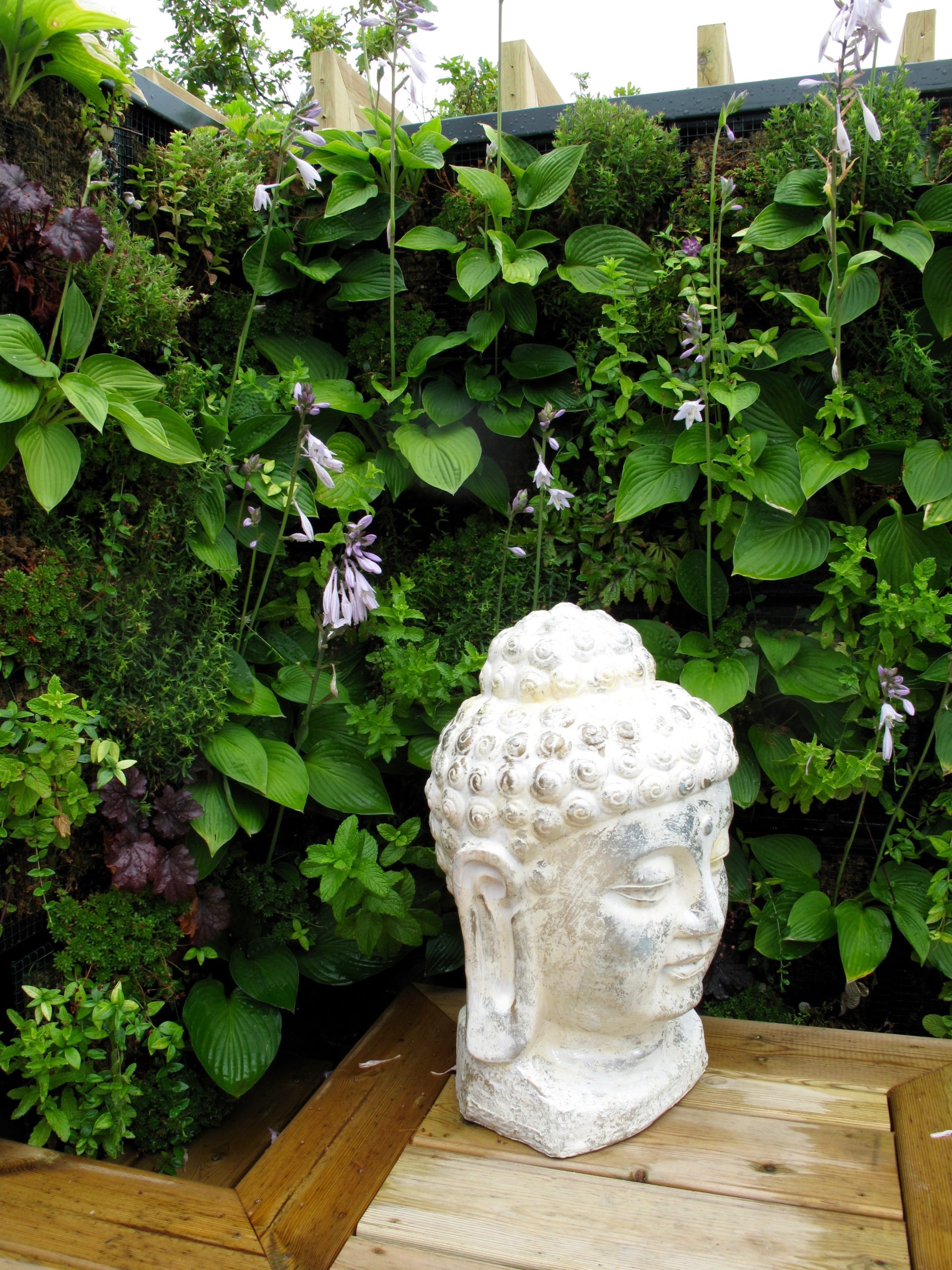 mur végétal zen piscine extérieur