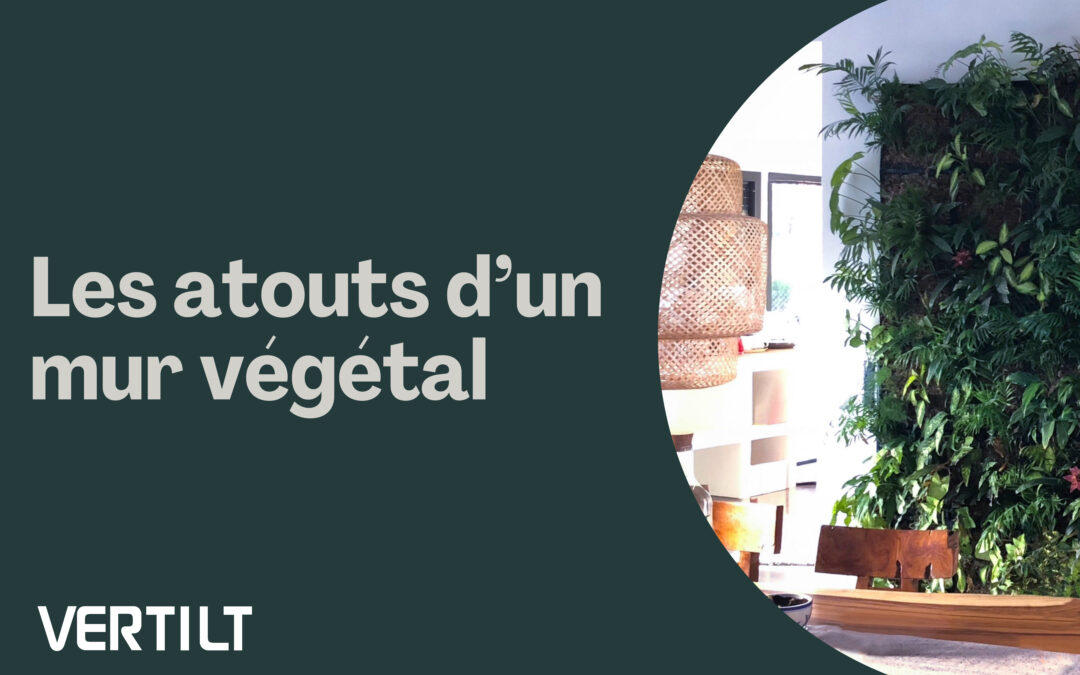 Les 15 atouts d’un mur végétal