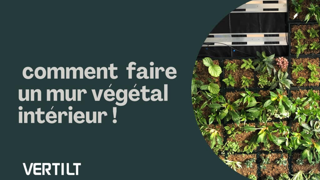 Comment faire un mur végétal intérieur ? - Vertilt 2024