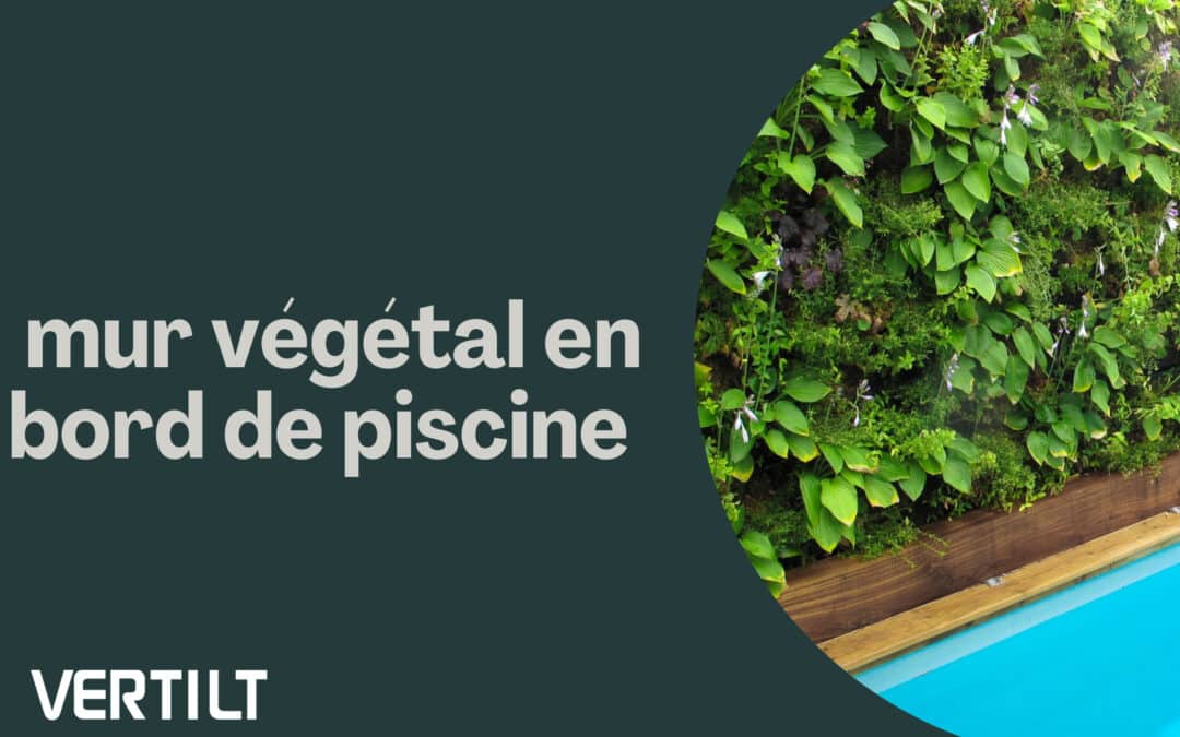 comment faire un mur végétal en bord de piscine