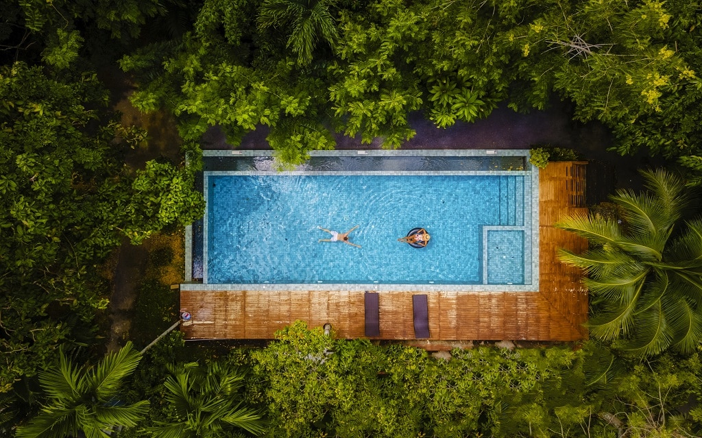 piscine végétation mur végétal exterieur piscine
