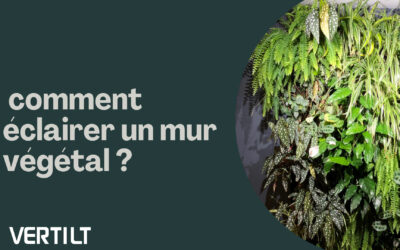 Comment éclairer un mur végétal ?