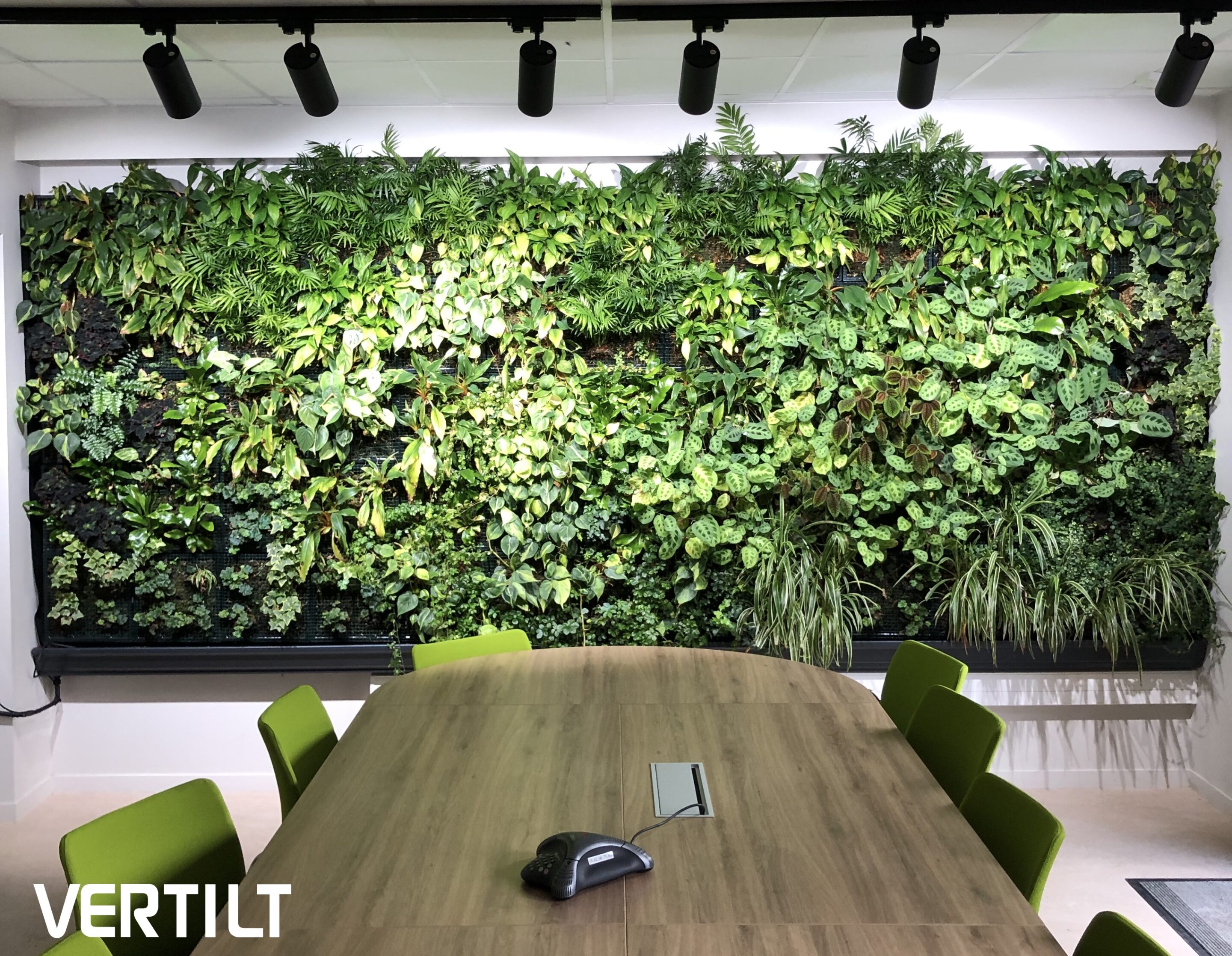 mur végétal intérieur salle de réunion.