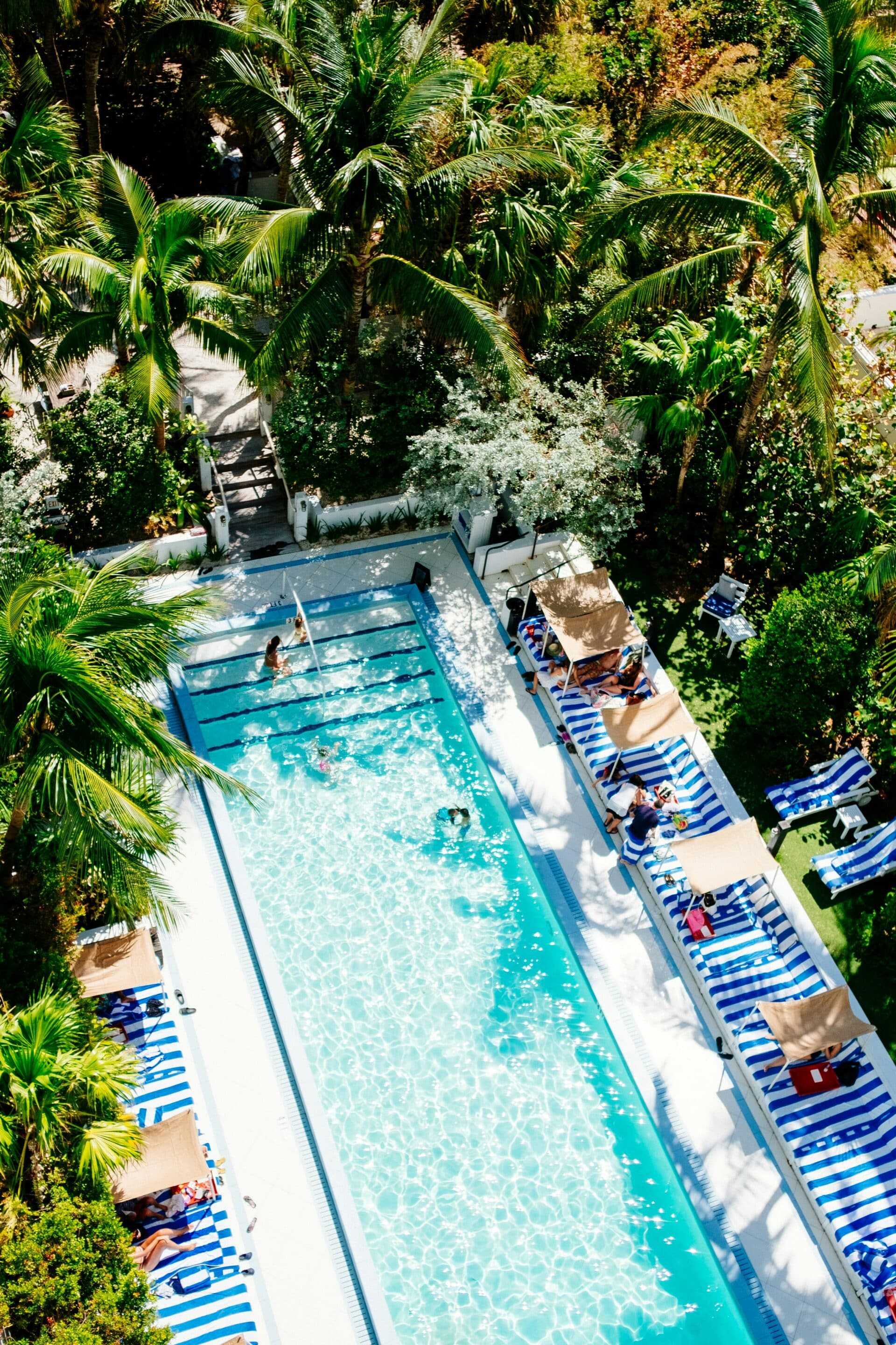 piscine arbres paysage